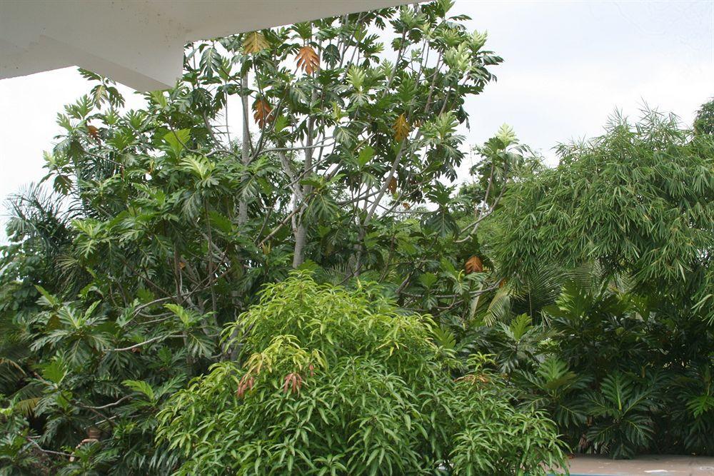 Pure Oasis Resort Negril Exterior foto